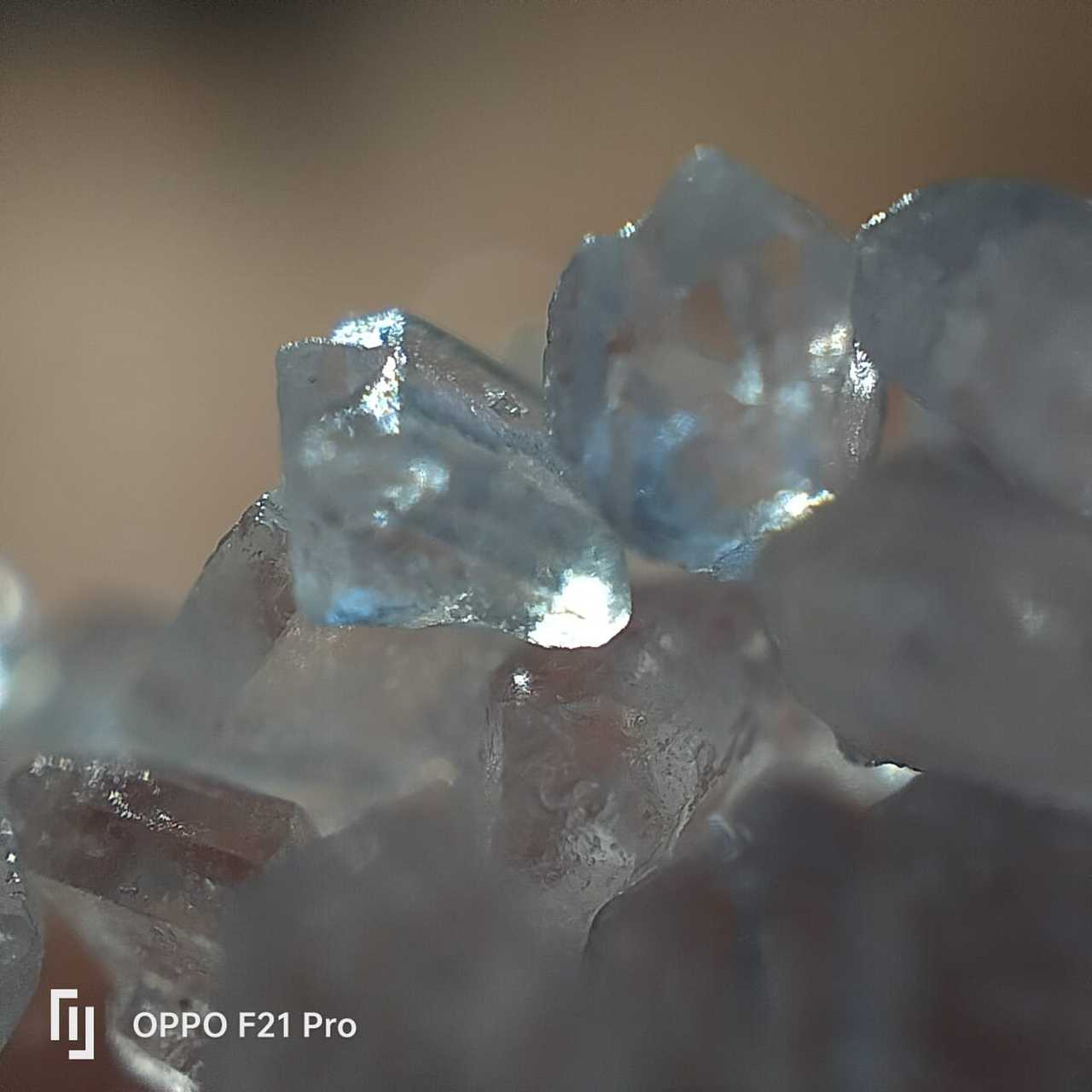 oppo f21s pro micro lens