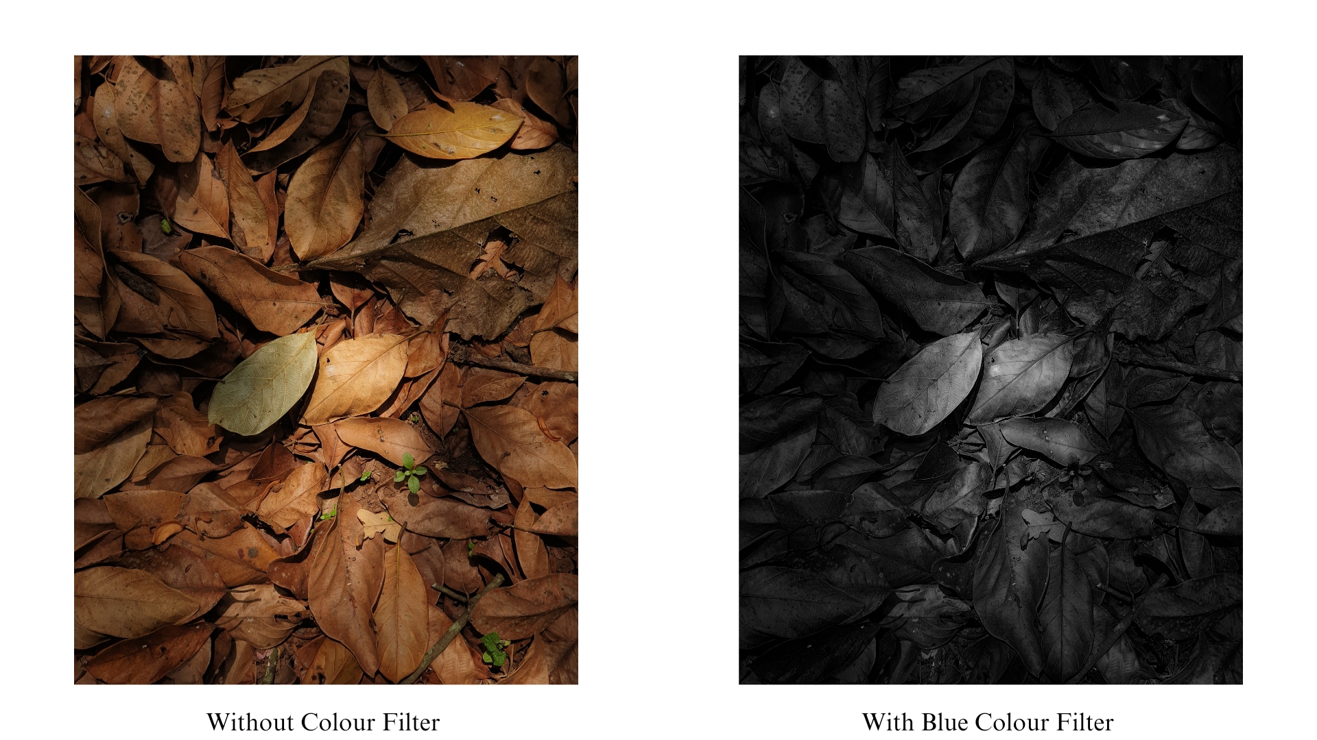Tinting Black \u0026 White Photos In Lightroom - In Post #522 — Scott Davenport  Photography, image size:1920x1080