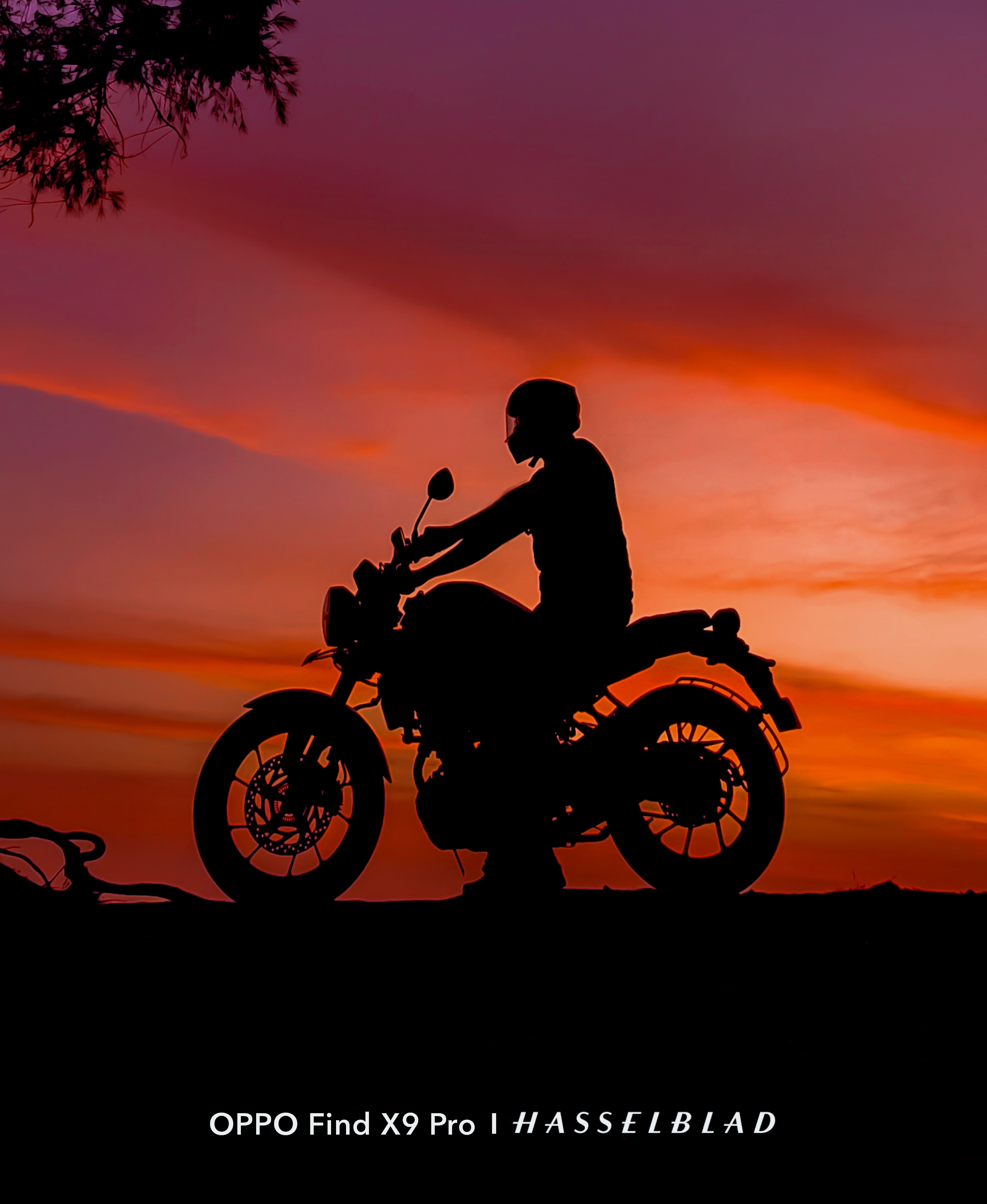 Chasing The After Glow ShotOnOPPOFindX9Pro @OPPO Community @